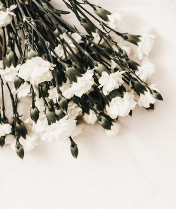 Luto: na imagem, há várias flores brancas sobre uma mesa branca.