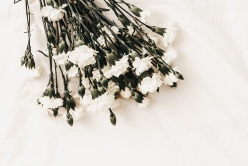 Luto: na imagem, há várias flores brancas sobre uma mesa branca.